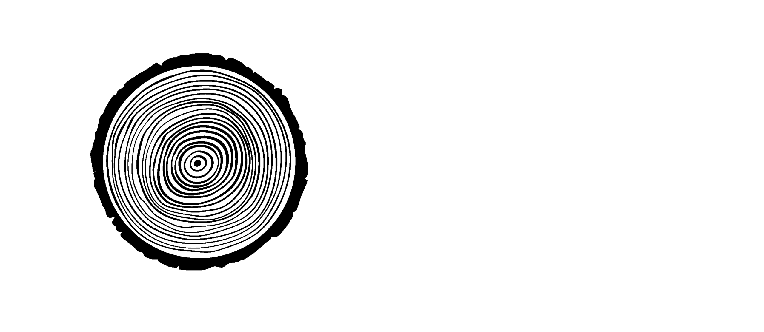 Meble z lasu
